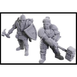 Wizkids - Dungeons & Dragon - Nolzur's Marvelous Miniatures: Limited Edition 50th Anniversary - Dwarves